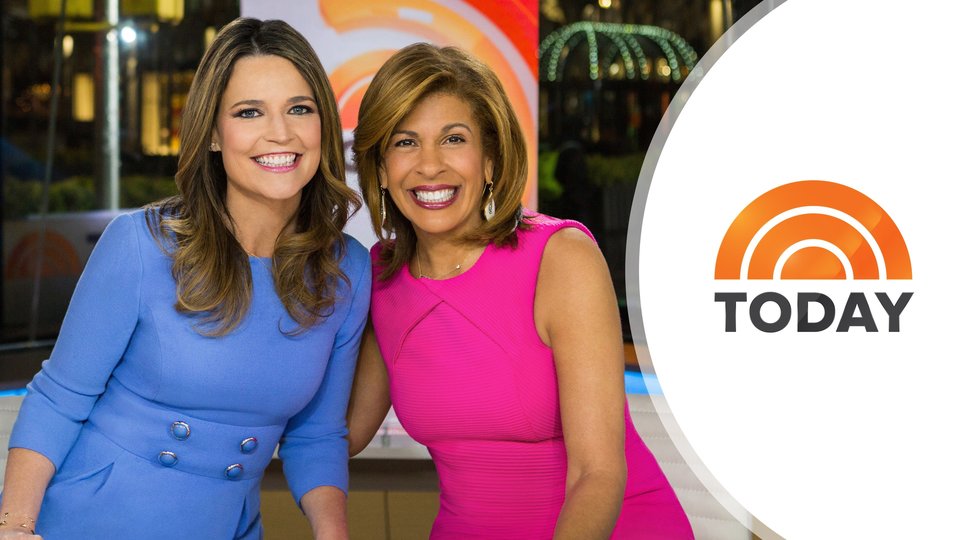 Today Show Hosts Salaries Revealed Highest, Lowest Paid and Their Net